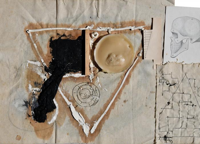 Exposición Mi vida de cartonero - W. Barcala