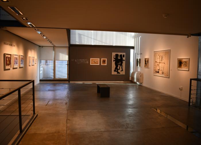 Exposición Mi vida de cartonero - W. Barcala